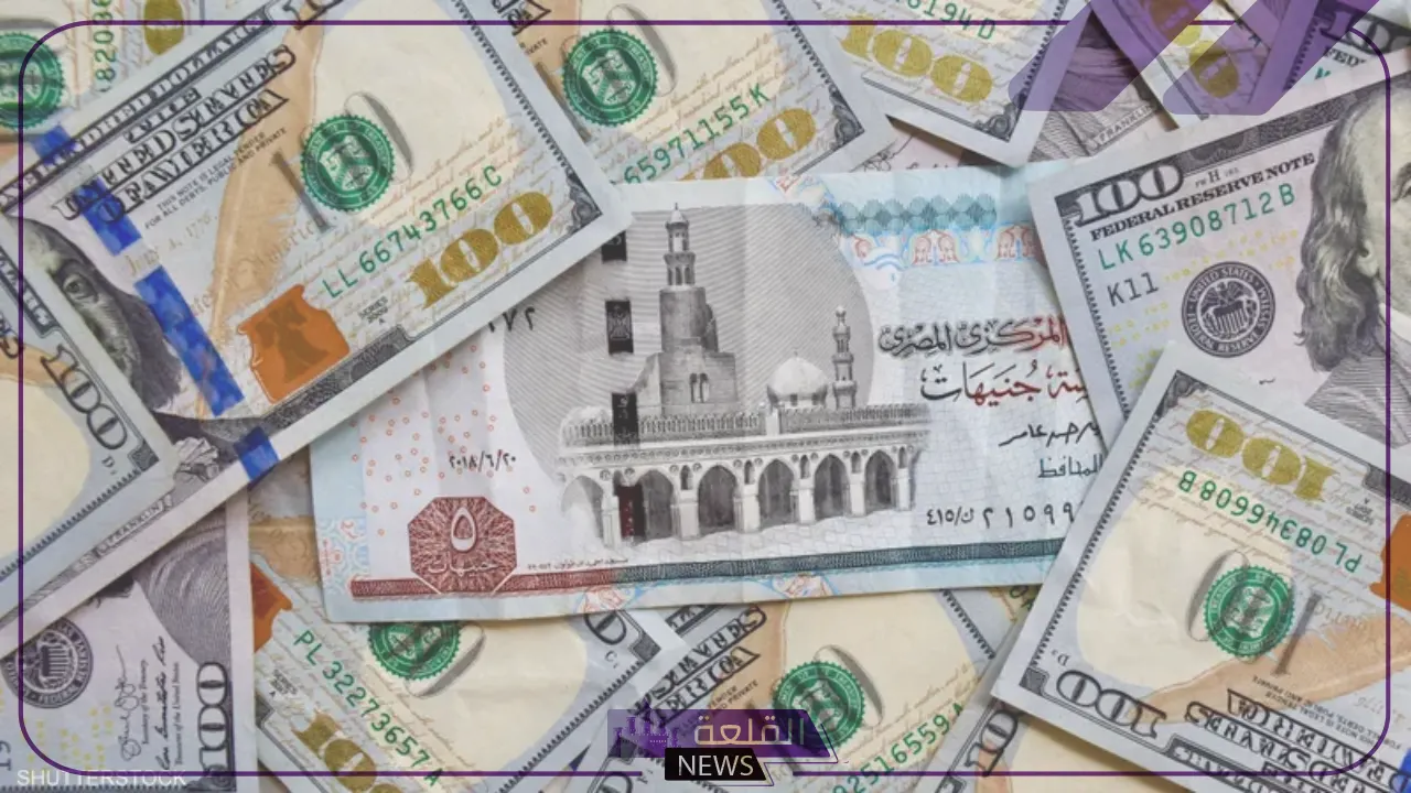 بكم اليوم؟؟ اكتشف معنا سعر صرف الدولار مقابل الجنيه اليوم الأحد 14 يوليو 2024 6 سعر بيع وشراء الدولار مقابل الجنيه في السوق السوداء اليوم الأحد 14 يوليو 2024