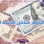 تحديث الإثنين.. سعر الدولار مقابل الجنيه المصري اليوم الإثنين 8 يوليو 2024