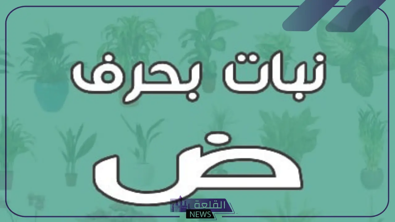 اسم نبات بحرف ض .. أشهر 10 نباتات تبدأ بحرف الضاد