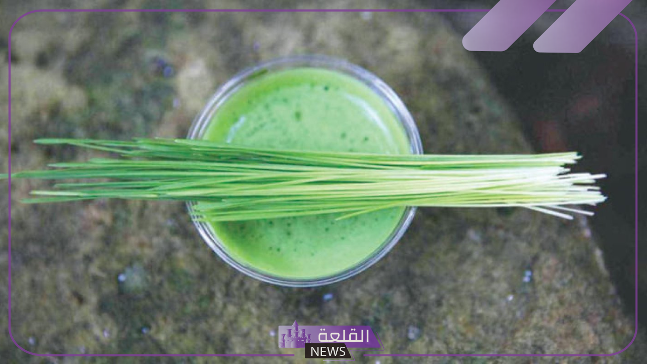 تناولها يوميًا.. 6 مشروبات طبيعية تزيل السموم من الجسم وتمنح الطاقة 5 مشروبات تمنح الجسم الطاقة