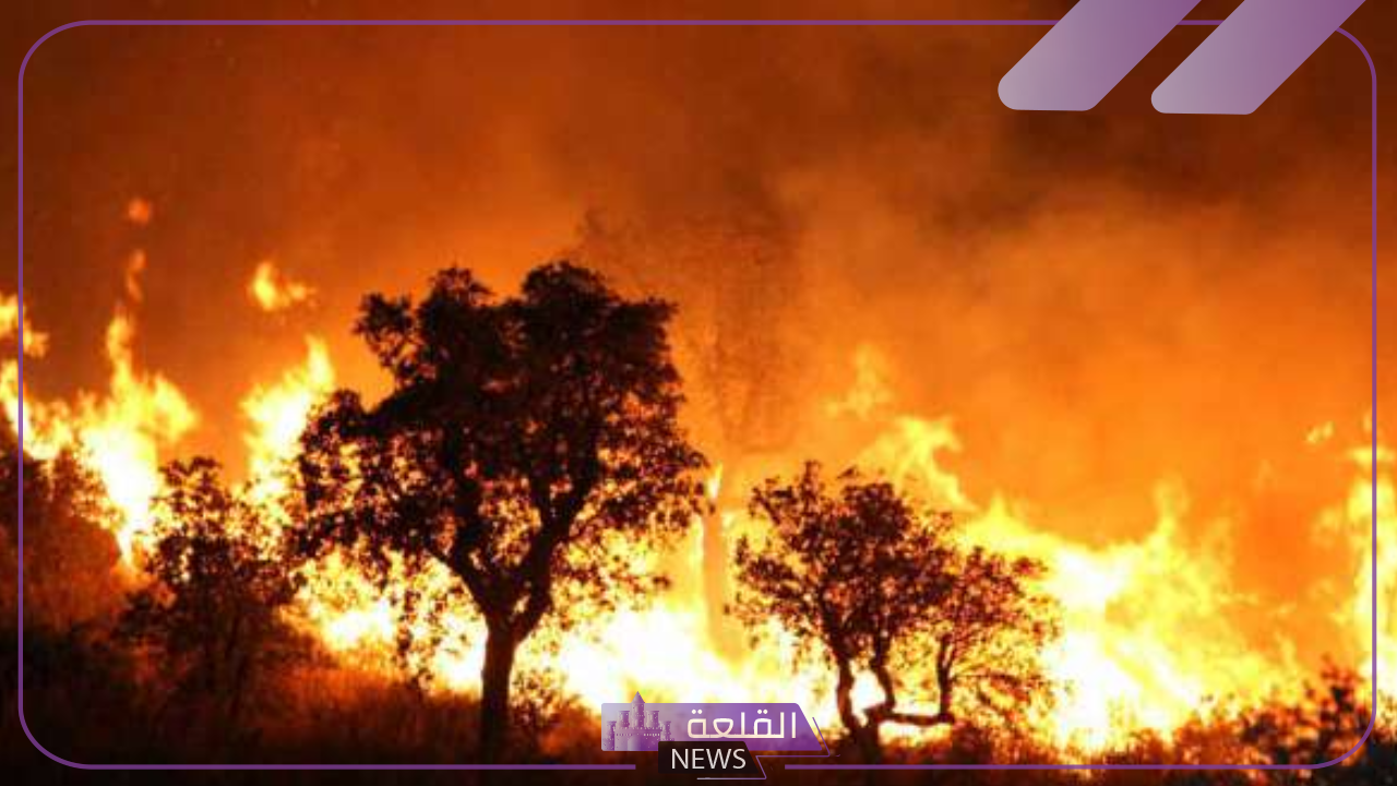 عودة الحركة المرورية.. بعد إخماد حريق أودية القصيم تعود حركة المرور من جديد 6 ماذا حدث في القصيم.. نشوب حريق القصيم وعودة حركة المرور اليوم مرة أخرى