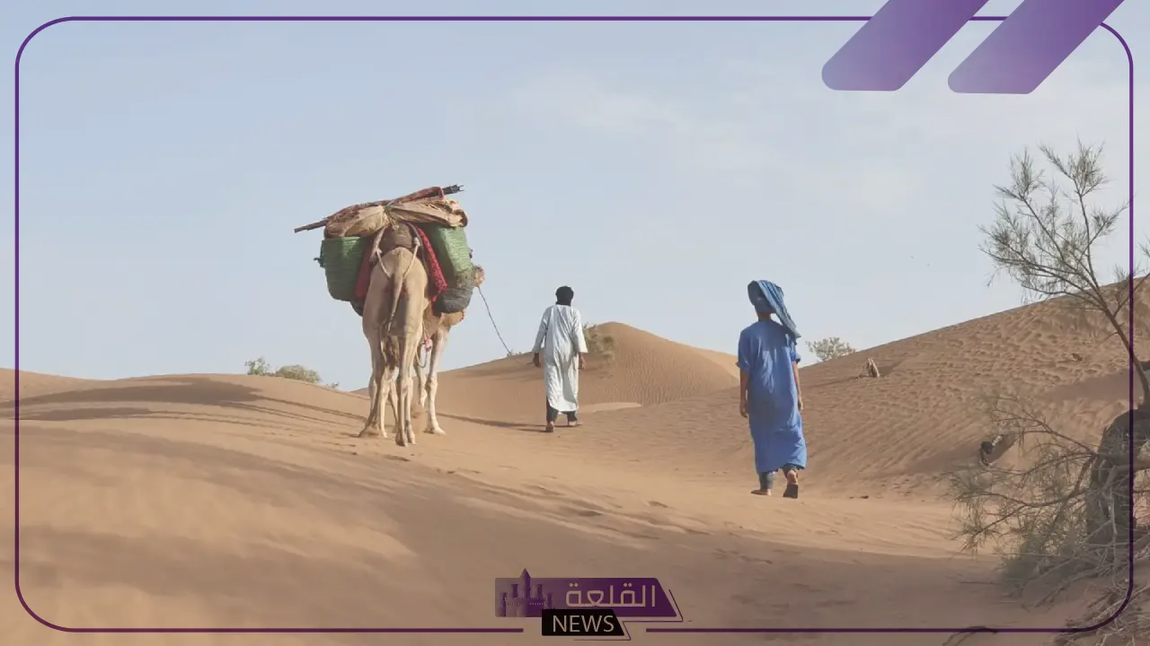 المورقي وش يرجع.. ما أصل ونسب قبيلة المورقي؟ 6 قبيلة المورقي لأي قبيلة يرجع أصلها