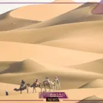 المورقي وش يرجع.. ما أصل ونسب قبيلة المورقي؟