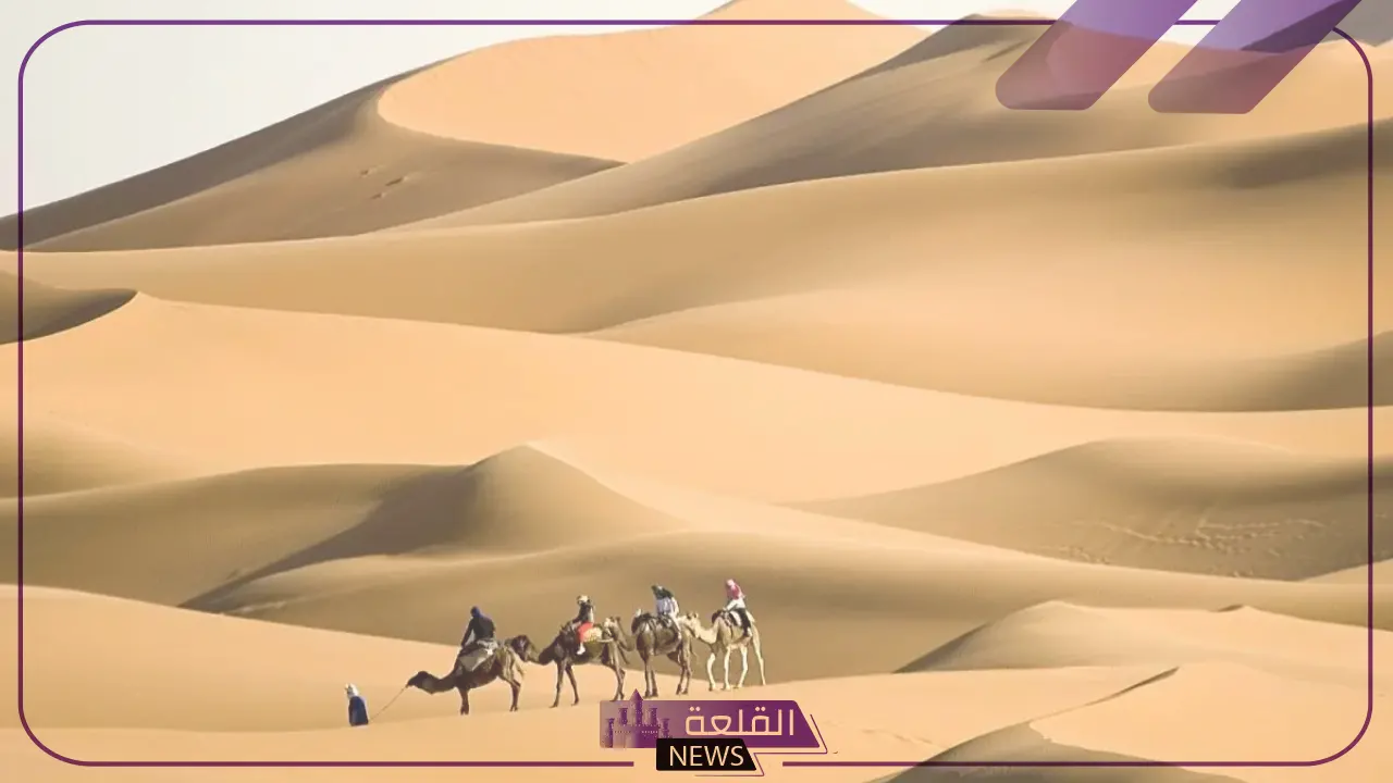 المورقي وش يرجع.. ما أصل ونسب قبيلة المورقي؟