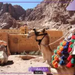 ما هو رمز قبيلة عسير.. أهم المعلومات عن قبيلة عسير