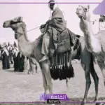 رمز قبيلة بني تميم.. الرمز الجديد لقبيلة بني تميم