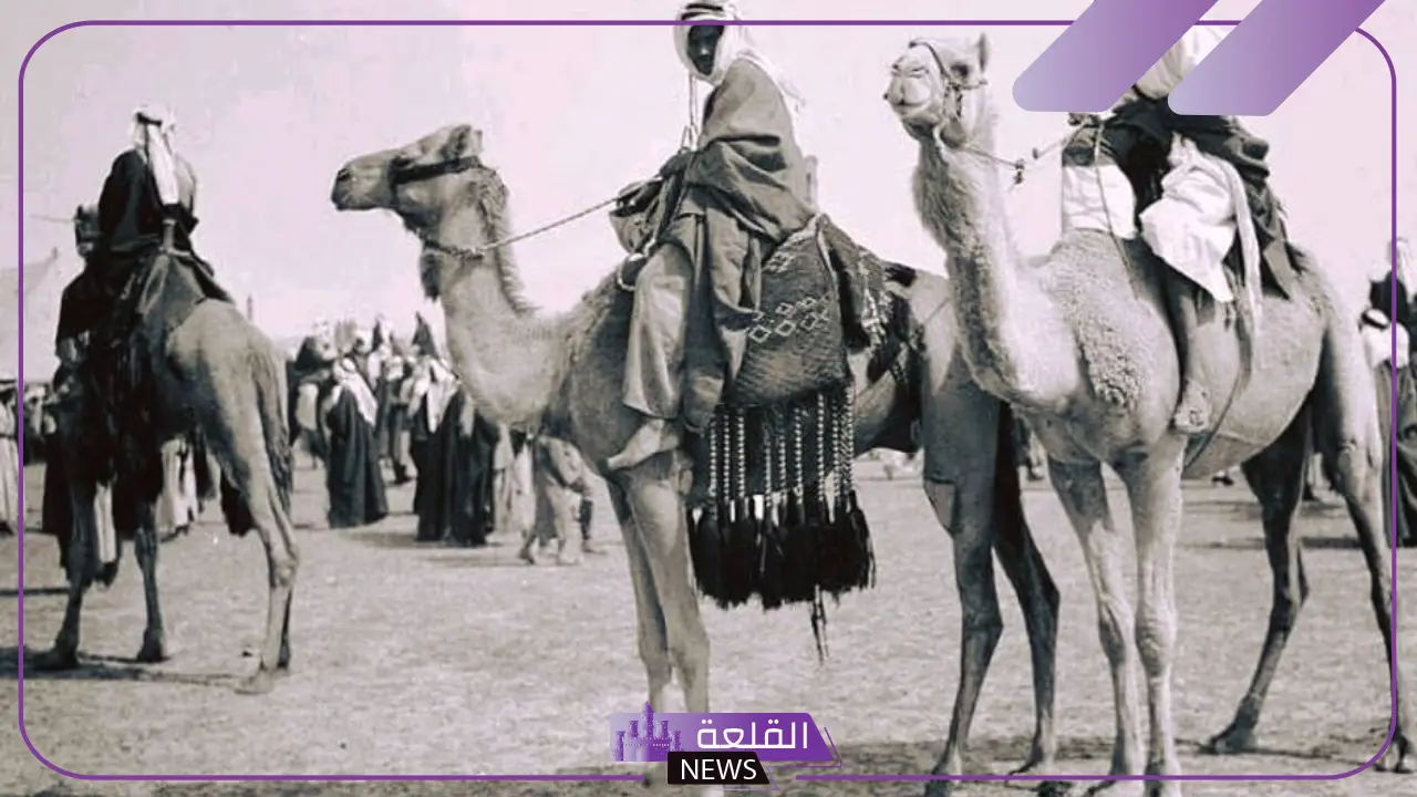 رمز قبيلة بني تميم.. الرمز الجديد لقبيلة بني تميم