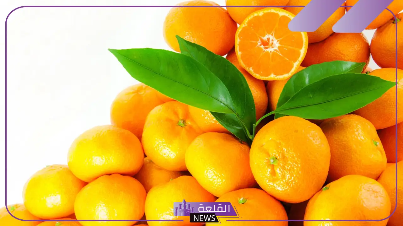 أسماء نباتات بحرف الياء.. 5 أنواع نبات بحرف ي