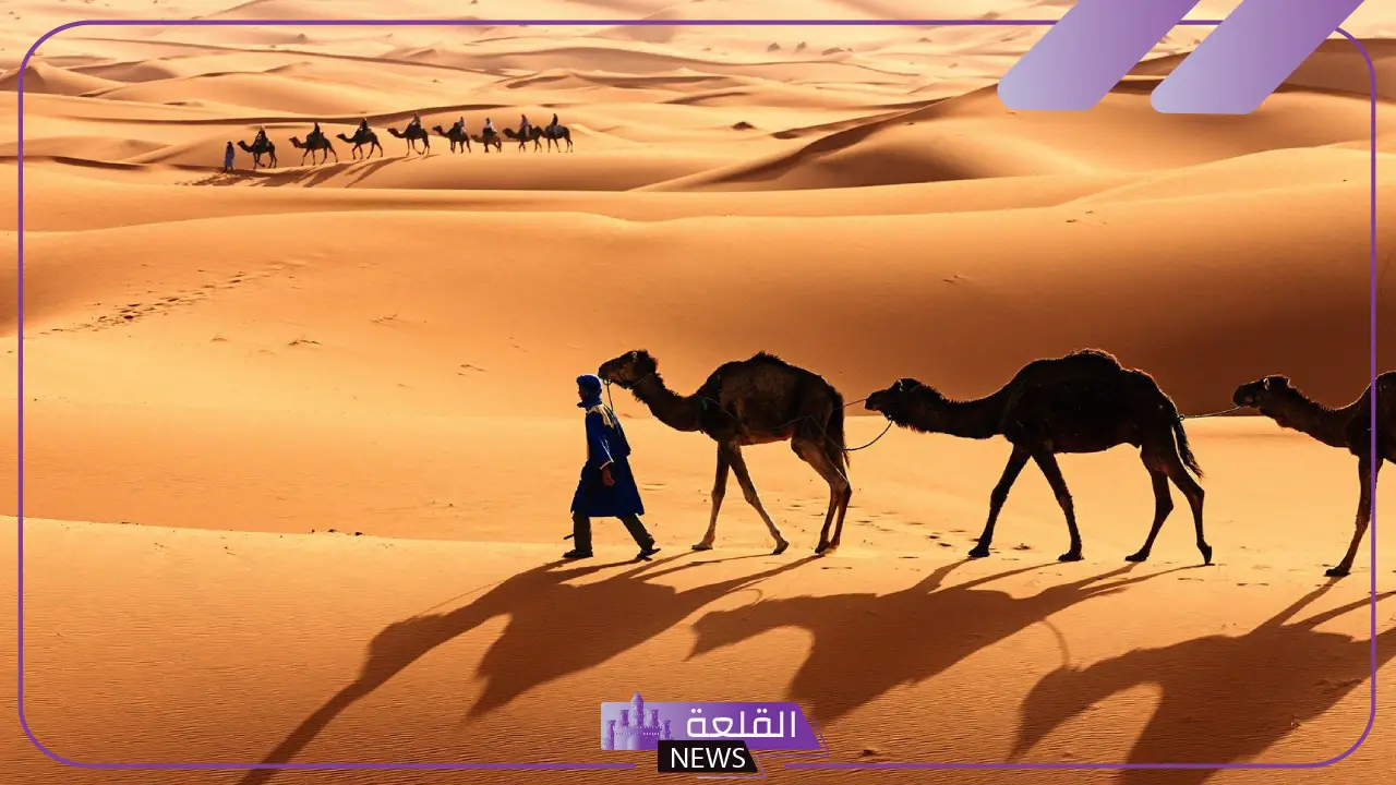 رمز قبيلة البقوم.. اكتشف الرمز الخاص بقبيلة البقوم في السعودية