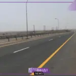 لتفادي المخالفات المرورية.. ضرورة معرفة مدلولات ألوان اللوحات