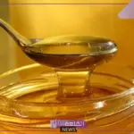 خبير نحل.. تحذير من مصانع صينية تنتج العسل المغشوش في السعودية