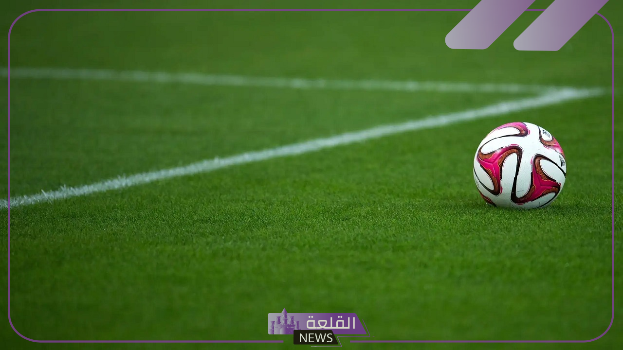 رسميًا.. الموافقة على قرار مشروع تخصيص 14 ناد رياضي في المملكة