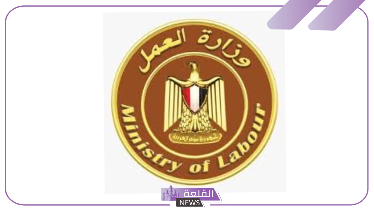 رسميًا.. تحديد سن التقاعد الرسمي في مصر وقيمة مكافأة نهاية الخدمة
