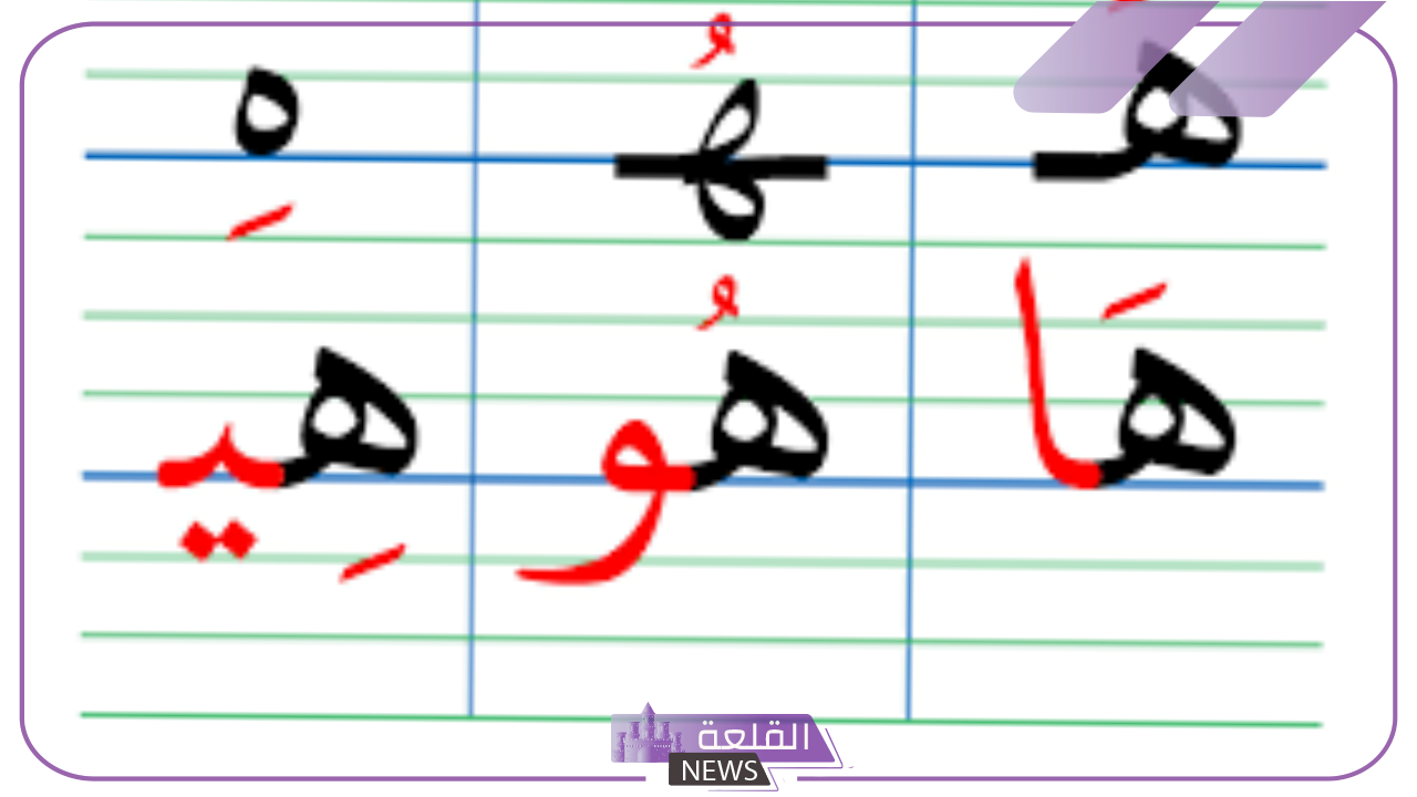 نبات بحرف الهاء.. اكتشف 10 نباتات تبدأ بحرف هـ 5 اكتشف 10 نباتات تبدأ بحرف الهاء