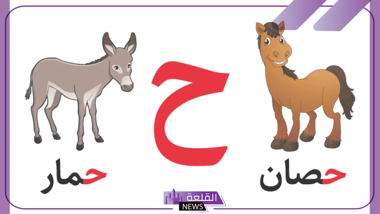 حيوان بحرف ح.. 7 أسماء حيوانات تبدأ بحرف الحاء 5 أفضل أسماء الحيوانات التي تبدأ بحرف الحاء