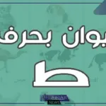 حيوان بحرف ط.. أسماء حيوانات تبدأ بحرف الط