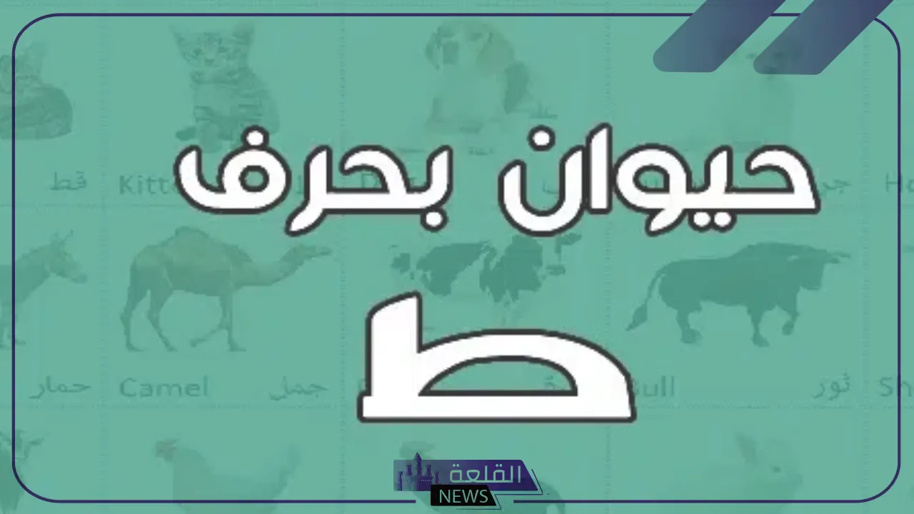 حيوان بحرف ط.. أسماء حيوانات تبدأ بحرف الط