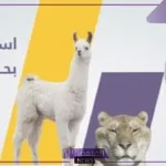 حيوان بحرف ل.. 5 حيوانات تبدأ أساميها بحرف اللام