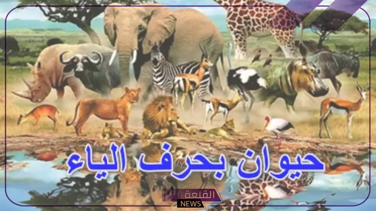 حيوان بحرف ي.. حيوانات تبدأ بحرف الياء 6 حيوانات من خمس حروف تبدأ بحرف ي