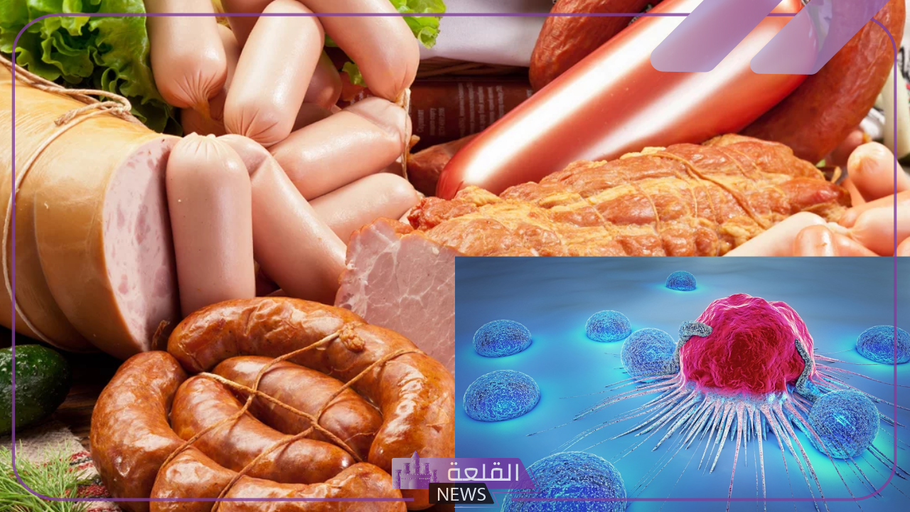 3 أطعمة تصيب بالسرطان.. خبيرة صحية تحذر من تناول 3 أطعمة شائعة بسبب أضرارها 5 تحذير خبيرة صحية من أطعمة تصيب بالسرطان