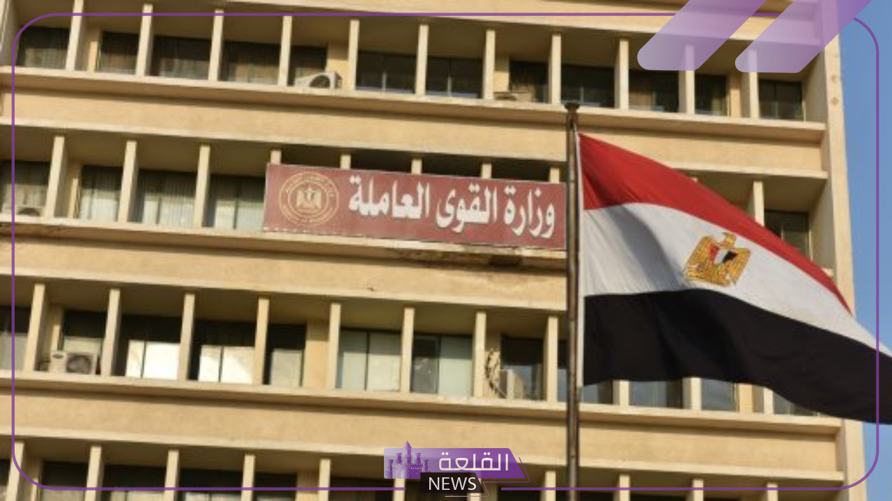 قدم الآن.. اعرف جميع التخصصات والوظائف المطلوبة في وزارة العمل مع الشروط 6 رابط منصة التوظيف من وزارة العمل