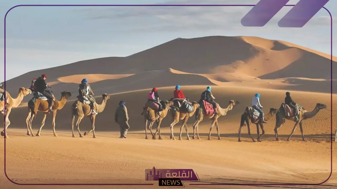 البلوي وش يرجع.. ما أصل ونسب قبيلة البلوي 6 شاهد.. شجرة قبيلة البلوي أكبر القبائل في المملكة