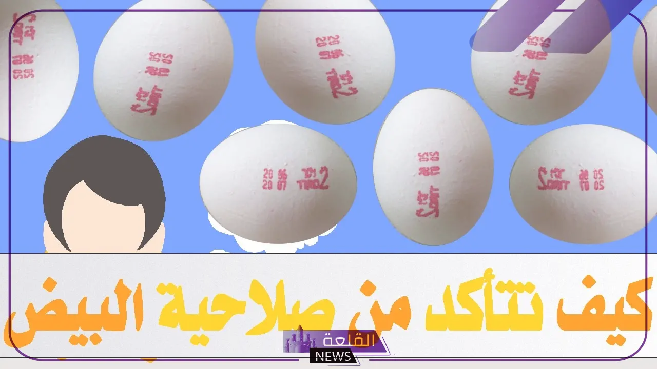 الخضيري.. طريقة بسيطة لاختبار سلامة البيض "خطوات سهلة" 5 خطوات بسيطة لاختبار سلامة البيض على طريقة الخضيري