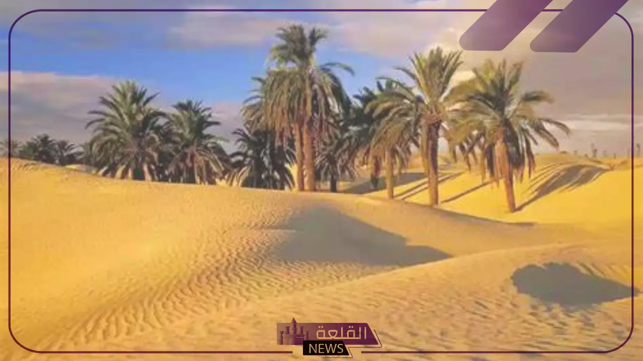 الجميعي وش يرجع.. أصل قبيلة الجميعي وش يعود؟ اعرف أهم الحقائق 6 شاهد.. الجميعي من القبائل التي يعود أصلها لبني هاشم الأشراف