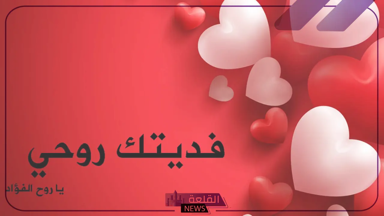 الرد على كلمة فداك.. ما هو أفضل رد على كلمة فداك 6 إذا احدهم قالي فداك وش أرد عليه