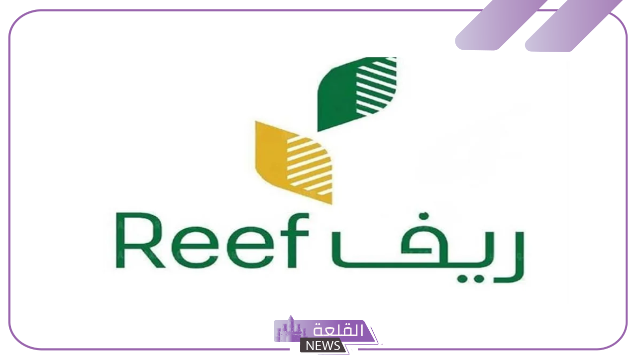 سجل الآن.. اعرف الشروط المطلوبة للتسجيل في منصة دعم ريف واحصل على التمويل 5 كيفية التسجيل في منصة دعم ريف