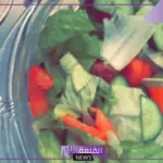 لوجبة صحية.. طريقة عمل سلطة بياتو إيطالية في المنزل