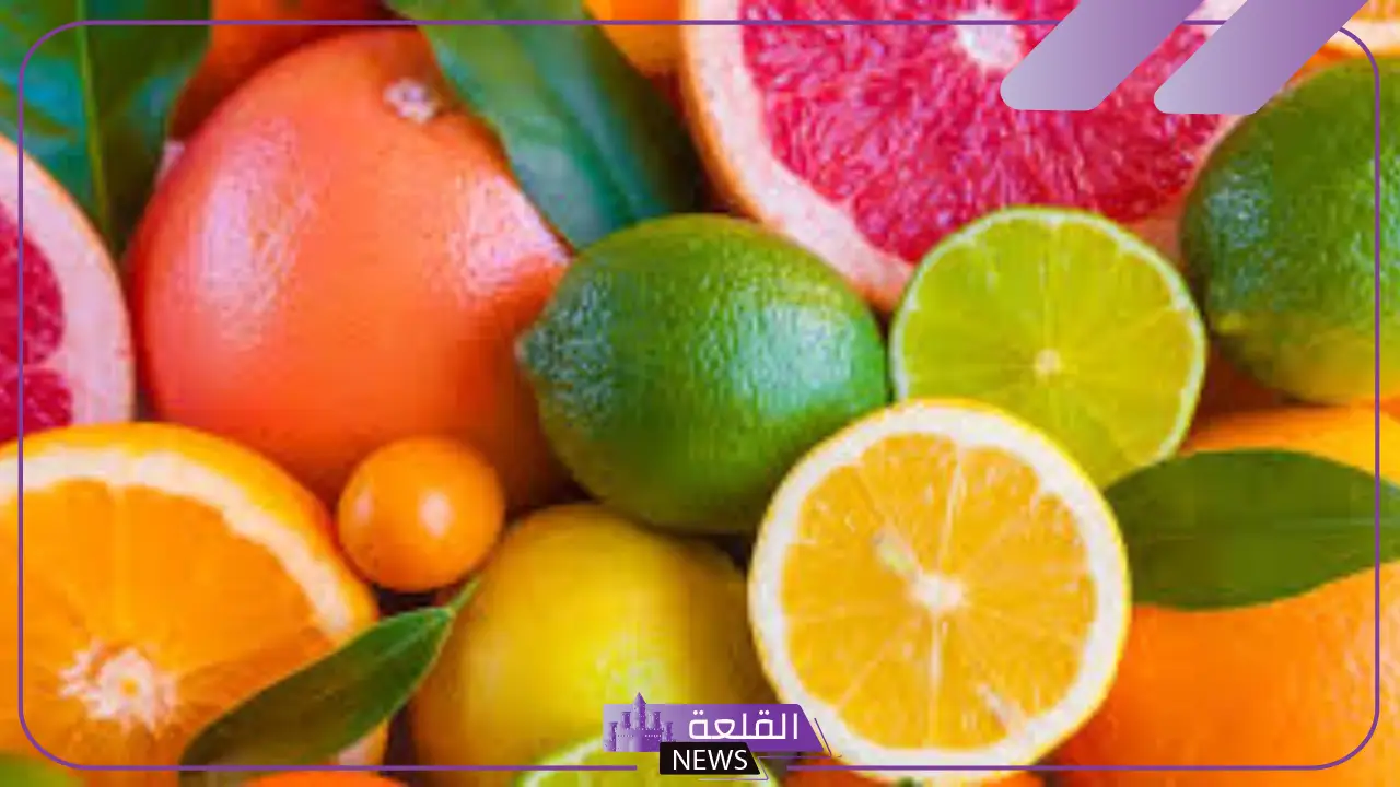 فاكهة بحرف الحاء.. أشهر عشر فواكه تبدأ بحرف ح 5 تعرف على الفواكه بحرف الحاء.. أشهر عشر فواكه تبدأ بحرف ح