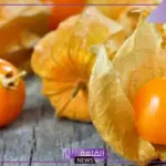 فاكهة بحرف الحاء.. أشهر عشر فواكه تبدأ بحرف ح