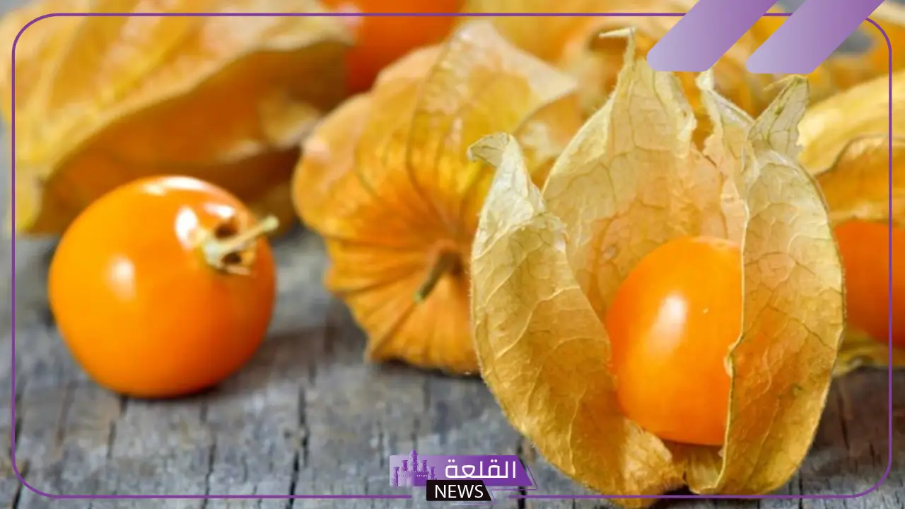 فاكهة بحرف الحاء.. أشهر عشر فواكه تبدأ بحرف ح