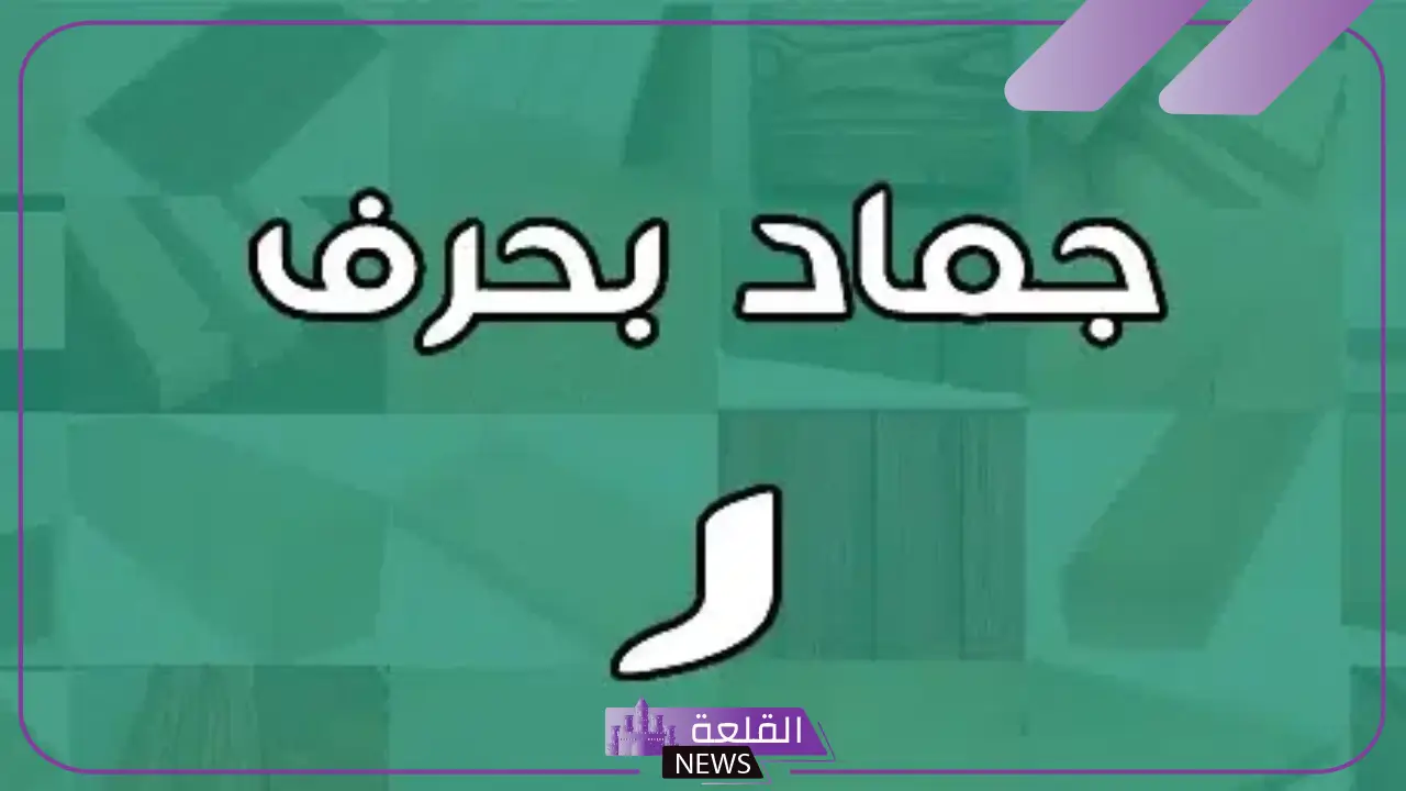 جماد بحرف الراء.. أشهر 5 جمادات بحرف ر