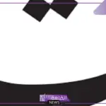 جماد بحرف التاء… أهم 5 جمادات بحرف ت