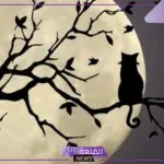 ما هو الرد على تصبح على خير.. أفضل رد على تصبح على خير