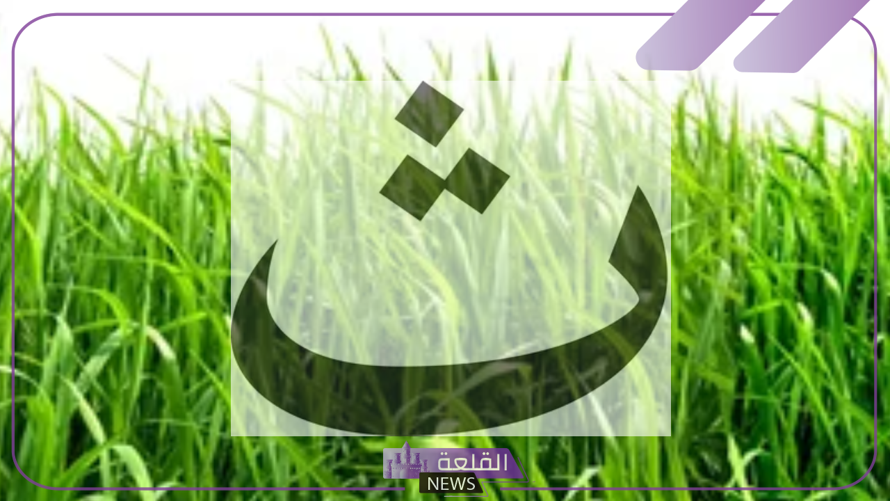 نبات بحرف ث.. أسماء نباتات تبدأ بحرف الثاء من خمس حروف 6 نباتات مميزة بحرف الثاء من خمس حروف