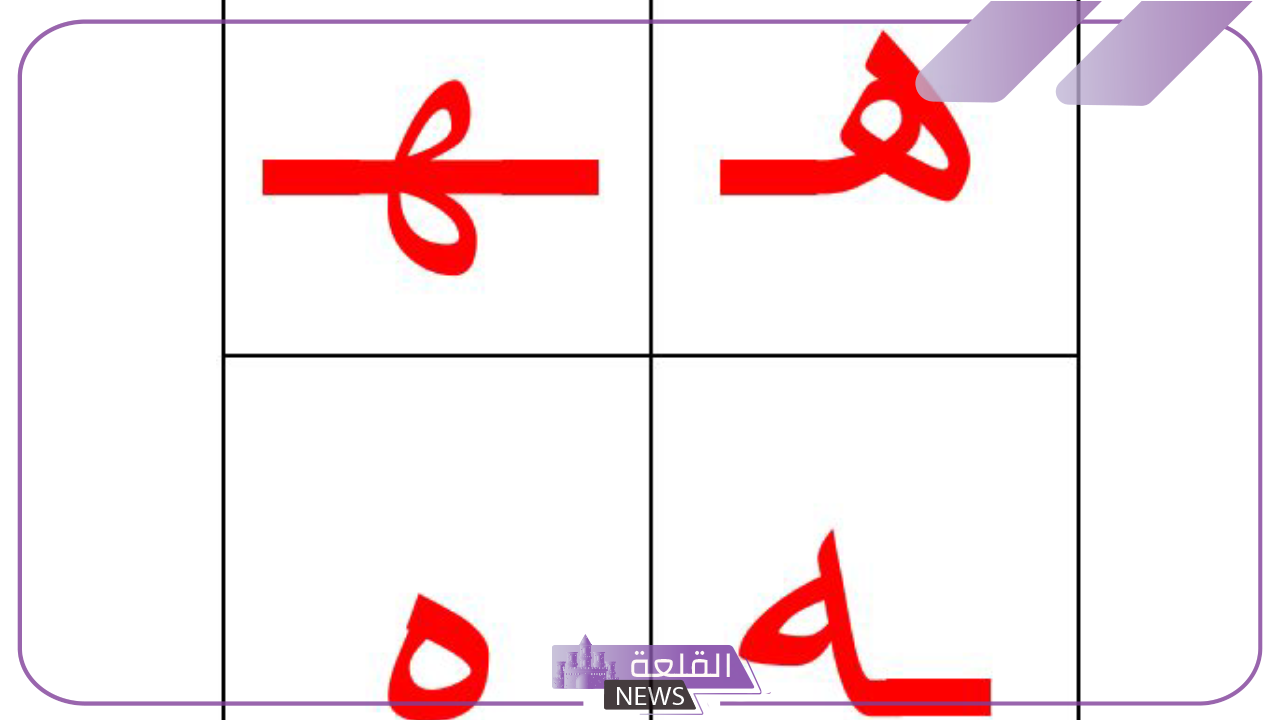 نبات بحرف الهاء.. اكتشف 10 نباتات تبدأ بحرف هـ 6 تعرف على اسم نبات بحرف الهاء