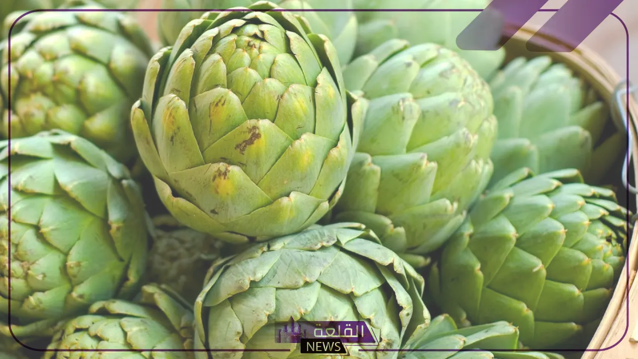 نبات بحرف الخاء.. أسماء نباتات تبدأ بحرف خ 5 تعرف وتعلم.. أسماء نباتات تبدأ بحرف الخاء