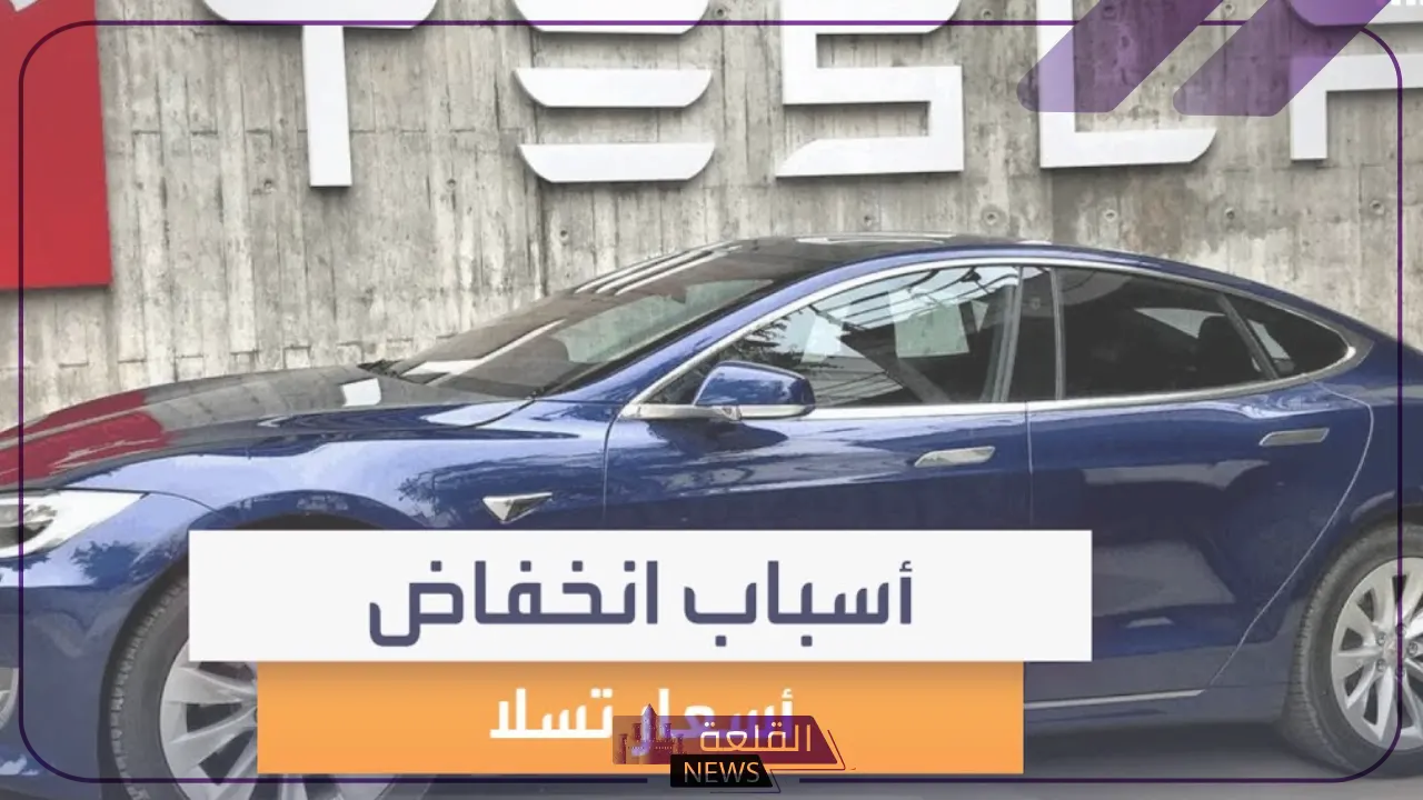 خسائر تلو الأخرى.. تراجع كبير في أسعار تسلا والشركات الاستثمارية العالمية تتدخل