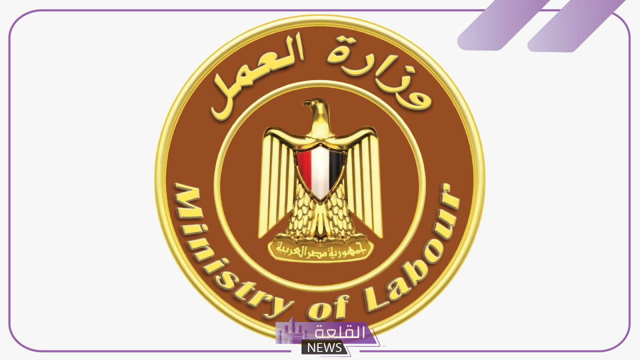 قدم الآن.. اعرف جميع التخصصات والوظائف المطلوبة في وزارة العمل مع الشروط 5 وظائف وزارة العمل في شهر يوليو 2024