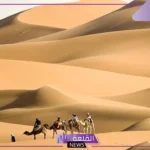 البياري وش يرجع.. بطون وفخوذ عائلة البياري