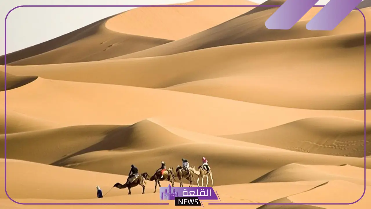 البياري وش يرجع.. بطون وفخوذ عائلة البياري