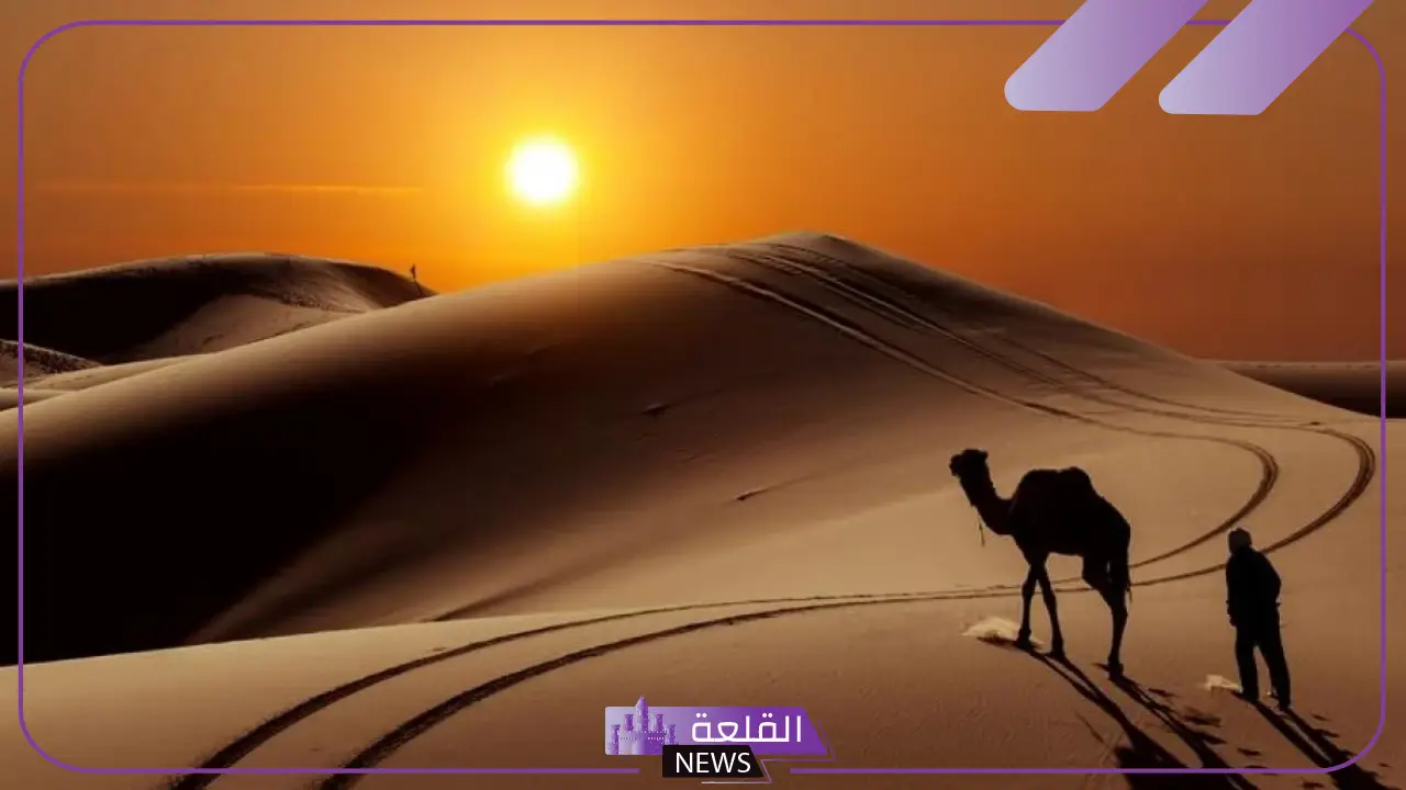 الثويني وش يرجعون.. ما أصل عائلة الثويني