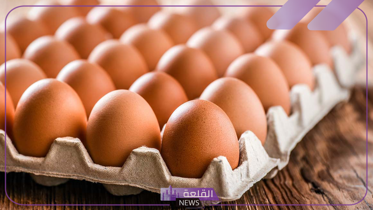 لا يفوتك.. أسعار الفراخ البيضاء وكرتونة البيض الأحمر والبلدي اليوم في الأسواق 6 أسعار البيض الأحمر اليوم في مصر