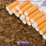 أسعار الدخان.. الأسعار الجديدة للسجائر في الأسواق المصرية