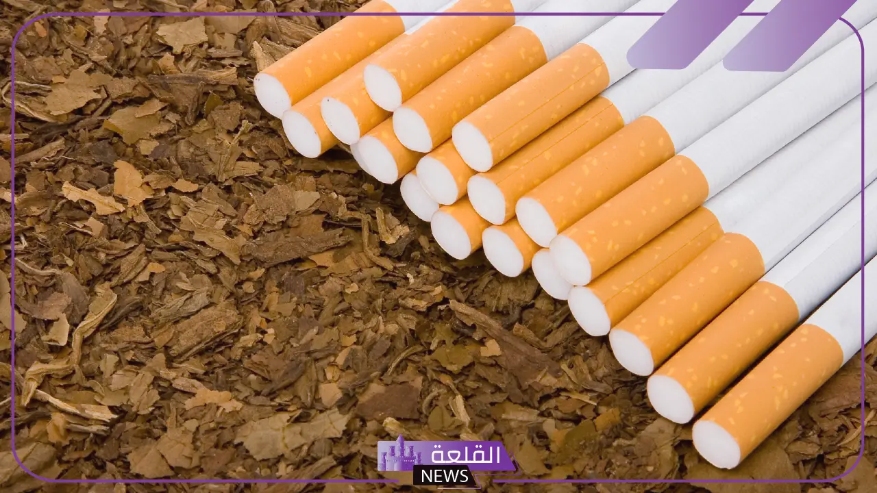 أسعار الدخان.. الأسعار الجديدة للسجائر في الأسواق المصرية