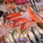 أسعار اليوم.. أسعار الأسماك والكائنات البحرية في الأسواق السعودية اليوم