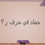 جماد بحرف الزين.. أسم جماد يبدأ بحرف ز